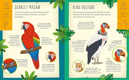 My Incredible Rainforest Expedition (Explorer Book + Model Kit) (Paperback)