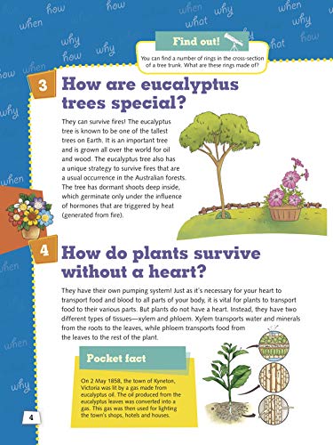 Encyclopedia: Plants How? (Questions and Answers) (Paperback)