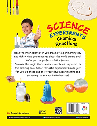 SCIENCE EXPERIMENTS CHEMICAL REACTIONS (Paperback)