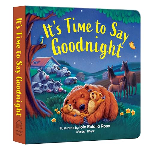 It’s Time to Say Goodnight (Board book)