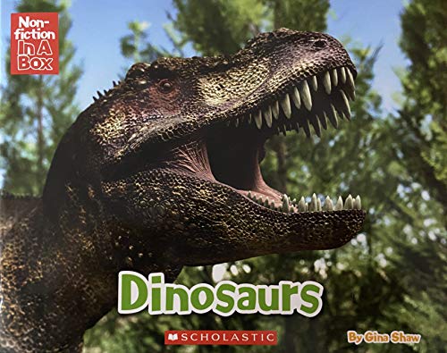 DINOSAURS IN A BOX (Product Bundle)