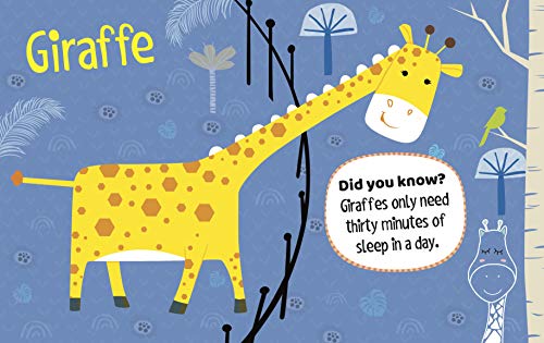 My First Book of Zoo: Easy Animal Names with Colorful Images & Educational Fun Facts | Baby’s First Learning Book | Vocabulary Building | First Book of Jungle Creatures | Visual Zoo Adventure | Animal (Paperback)