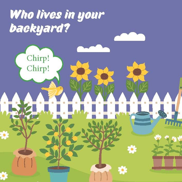 My Little Book of Garden Buggy Book | Early Learning Nature Book for Toddlers | Discover Flowers, Insects & Garden Life | Educational Picture Book for Kids (Board book)