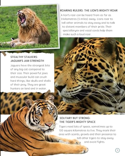 Must Know 100 Facts About Big Cats (Paperback)