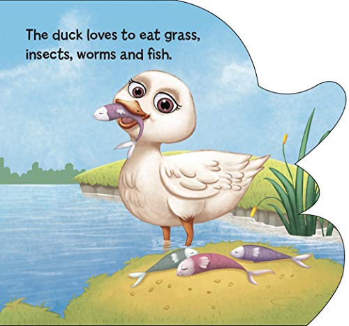 Board Book : Duck ( Animals and Birds ) - Cutout Board Books (Board book)