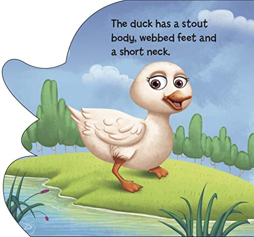 Board Book : Duck ( Animals and Birds ) - Cutout Board Books (Board book)