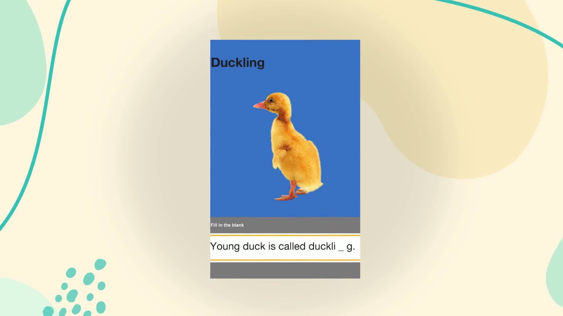 My First Book of Animals for Children: Learn About Farm, Wild, Sea & Pet Animals | Colorful Pictures, First Words & Fun Animal Facts | Fun & Engaging Visual Journey | Builds Vocabulary, Observation &  (Paperback)