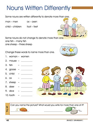 Second Grade Activity Book: 320 Pages of Practice for Ages 7-8 - Grammar, Math Operations, Writing, Social Science, Geometry, Vocabulary, Science & more (Paperback)