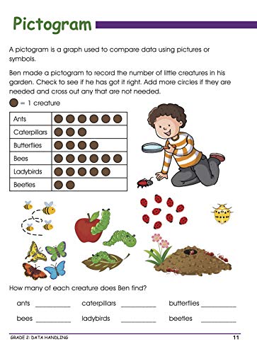 Activity Book : Grade 2 : Smart Scholars Grade 2 Data Handling Fun-filled Activities (Smart Scholars Series) (Paperback)