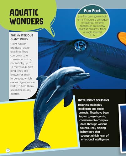 Must Know 100 Facts About Animal Life (Paperback)
