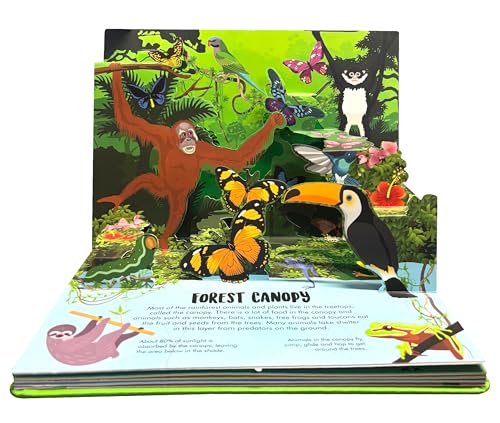 Pop Up Forest Book for Kids: Autumn, Mangroves, Rainforests & Discover the World of Forest | Journey Nature’s Wonders | Interactive Learning | ... | Adventure Fun Facts for Little Scholars (Hardcover)