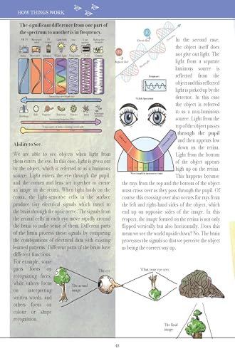 How Things Work - Encyclopedia for Children | STEM Learning Book | Science Made Simple | Fun Facts for Curious Kids | Illustrated Guide for Ages 8–12 (Flexibound)