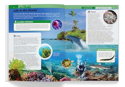 Children’s Encyclopedia - Our Planet Earth, Animals and Human Body: Animals, Human Body and Our Planet Earth (Hardcover)