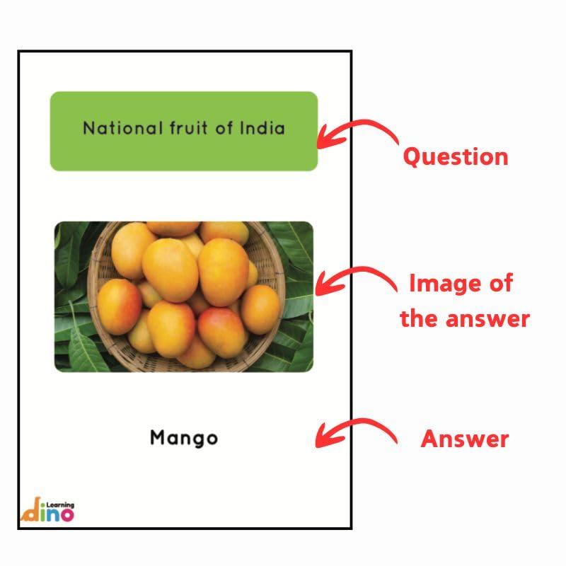 General Knowledge Picture Book For Kids About India | 100 GK Questions and Answers about India with Pictures for Kids | By Learning Dino (Paperback)