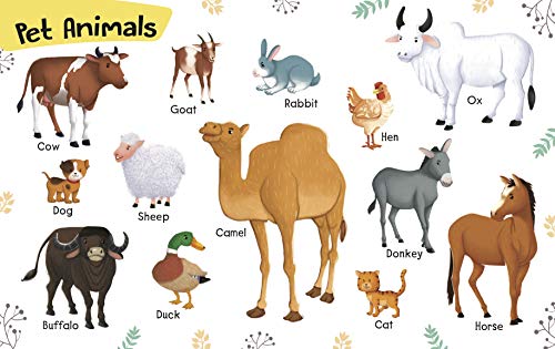 Board Book : My First Big Book of ABC,1to10,Wild Animals,Pet Animals,Sea World,Transport,Fruits & Vegetables,Colours, Body Parts, Shapes, Birds, Flowers, Hindi Varnmala (My First Book of) (Board book)