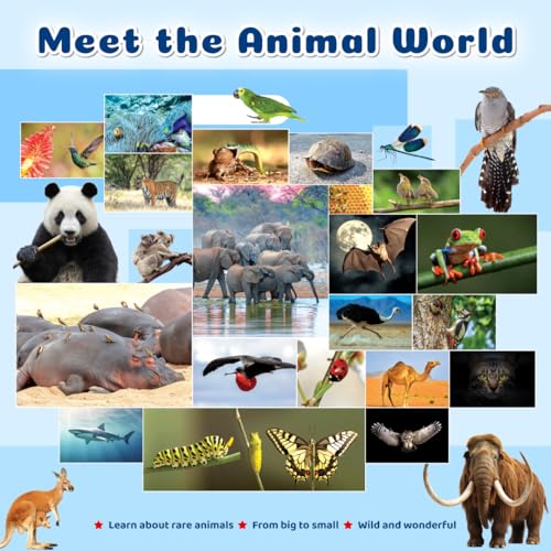First Encyclopedia Life on Earth with AR (Augmented Reality) - Human Body, Animals & Plants For Kids, Early Learning Activity Book, Encyclopedia For Kids (Paperback)