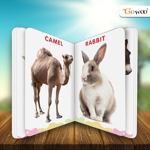 My First Big Picture Board Book ABC AND Farm Animals & Pets : Educational books for preschoolers, Preschool learning books for kids, Early learning picture books | Pack of 2 board books (Board book)