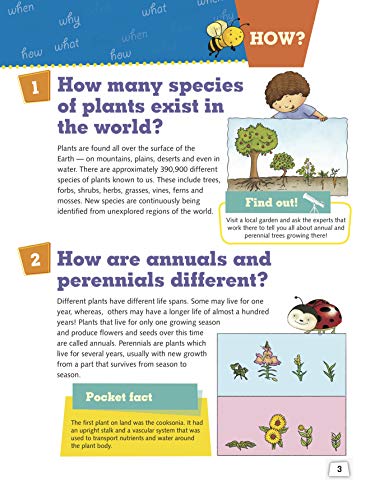 Encyclopedia: Plants How? (Questions and Answers) (Paperback)