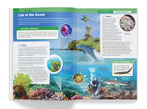 Knowledge Encyclopedia - Our Planet Earth (Paperback)