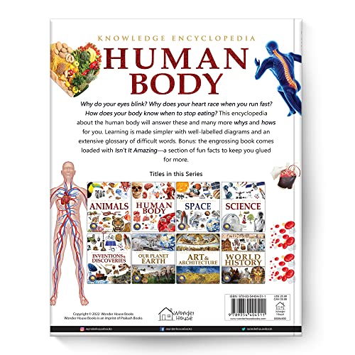Knowledge Encyclopedia - Human Body (Hardcover)