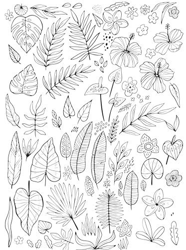 Colouring Book: Doodle Colouring Book Jungle (Paperback)