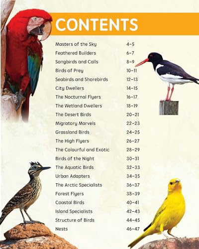 Must Know 100 Facts About Birds (Paperback)