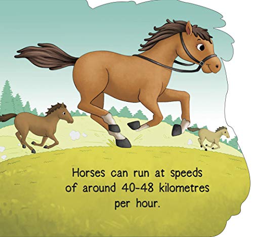 Board Book : Horse ( Animals and Birds ) - Cutout Board Books (Board book)