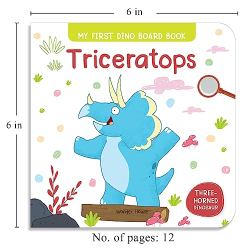 My First Dinosaur Board Books – Boxed Set of 8: T. rex, Triceratops, Stegosaurus, Spinosaurus, Diplodocus, Ankylosaurus, Parasaurolophus & Iguanodon | Brightly Illustrated Dino Books with Fun Facts & Easy Text | Sturdy Board Books for Toddlers & Pres