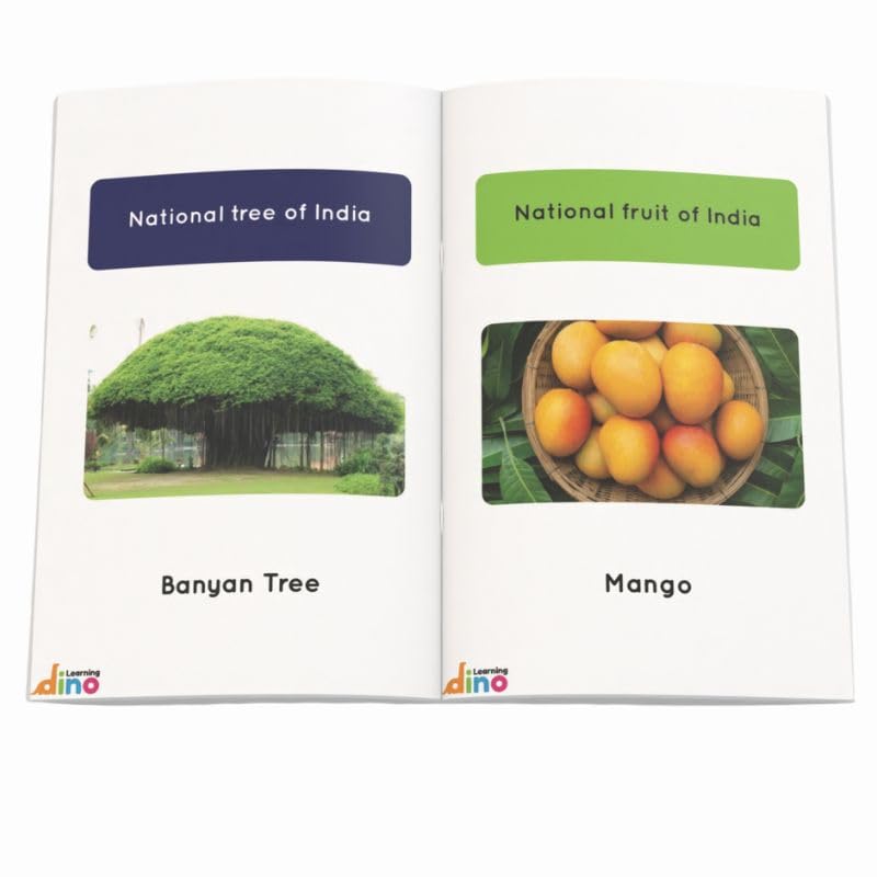 General Knowledge Picture Book For Kids About India | 100 GK Questions and Answers about India with Pictures for Kids | By Learning Dino (Paperback)
