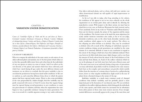 The Origin of Species (Paperback)