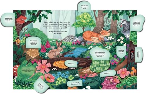 Hide And Find In The Forest (Hardcover)