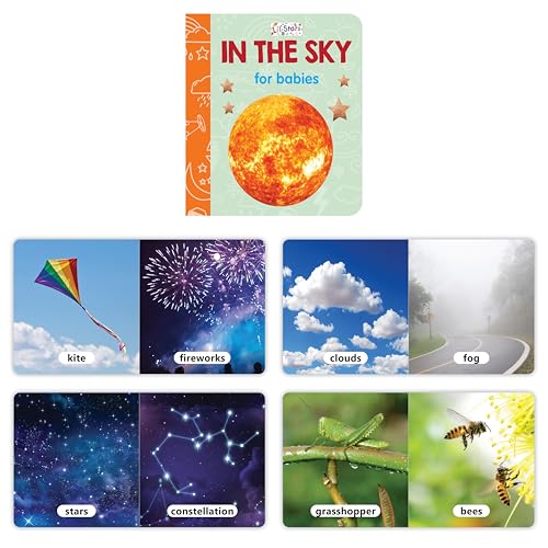 My First Library: 10 Board Books Set for Babies & Toddlers | ABC, Numbers, Shapes, Colors, Animals, Birds, Fruits, Veggies & Transport | Early Learning Educational Books for Kids (0–3 Years) (Board book)