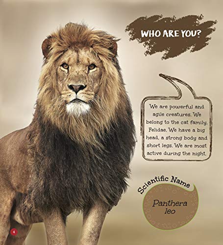 Lion : Its Me Lion ( Animal Encyclopedia) (Paperback)