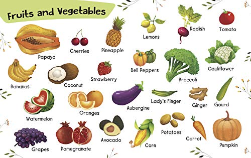 My First Book Big Book English Alphabets (ABC, abc) & Hindi Varnmala (क, ख, ग...), Numbers 1 to 10 & More | Fun with Animals, Body Parts Birds, Fruits, Vegetables | First Words & Visual Discovery | Ea (Board book)