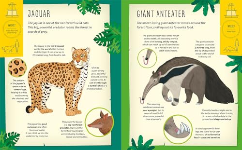 My Incredible Rainforest Expedition (Explorer Book + Model Kit) (Paperback)