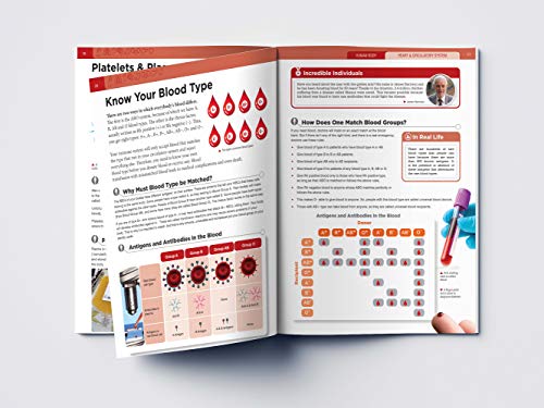 Human Body - Heart And Circulatory System: Knowledge Encyclopedia For Children (Paperback)