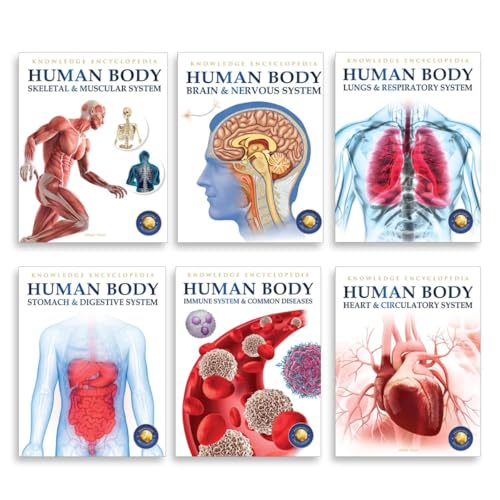 Human Body Box Set: Knowledge Encyclopedia For Children (Paperback)
