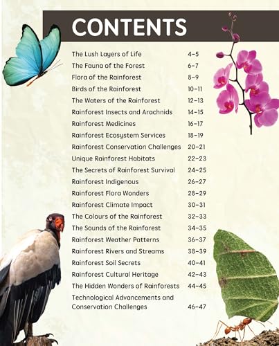 Must Know 100 Facts About Rainforest (Paperback)