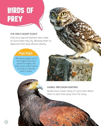Must Know 100 Facts About Birds (Paperback)