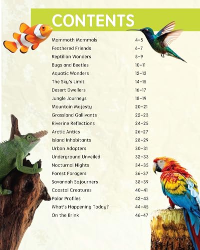 Must Know 100 Facts About Animal Life (Paperback)