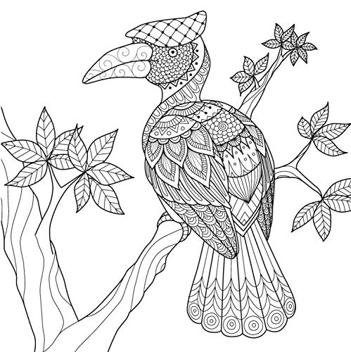 Colouring Book for Adults - Nature Mandala (Hardcover)