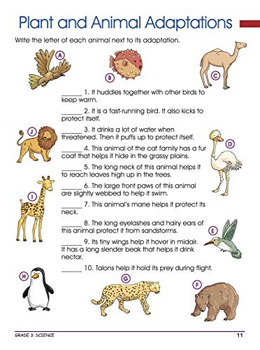 Activity Book : Grade 3 : Smart Scholars Grade 3 Science Fun-filled Activities (Smart Scholars Series) (Paperback)