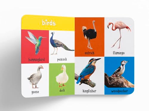 My First 100 Library: Boxset of 5 Early Learning Board Books for Kids | Learn First 100 Words, Numbers, Animals & Birds, Food We Eat, and Things That Move | Perfect for Babies, Toddlers, Preschool & H (Board book)