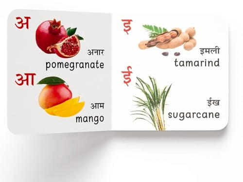 My First English Hindi Learning Library: Boxset of 10 Board Books For Kids (Hardcover)