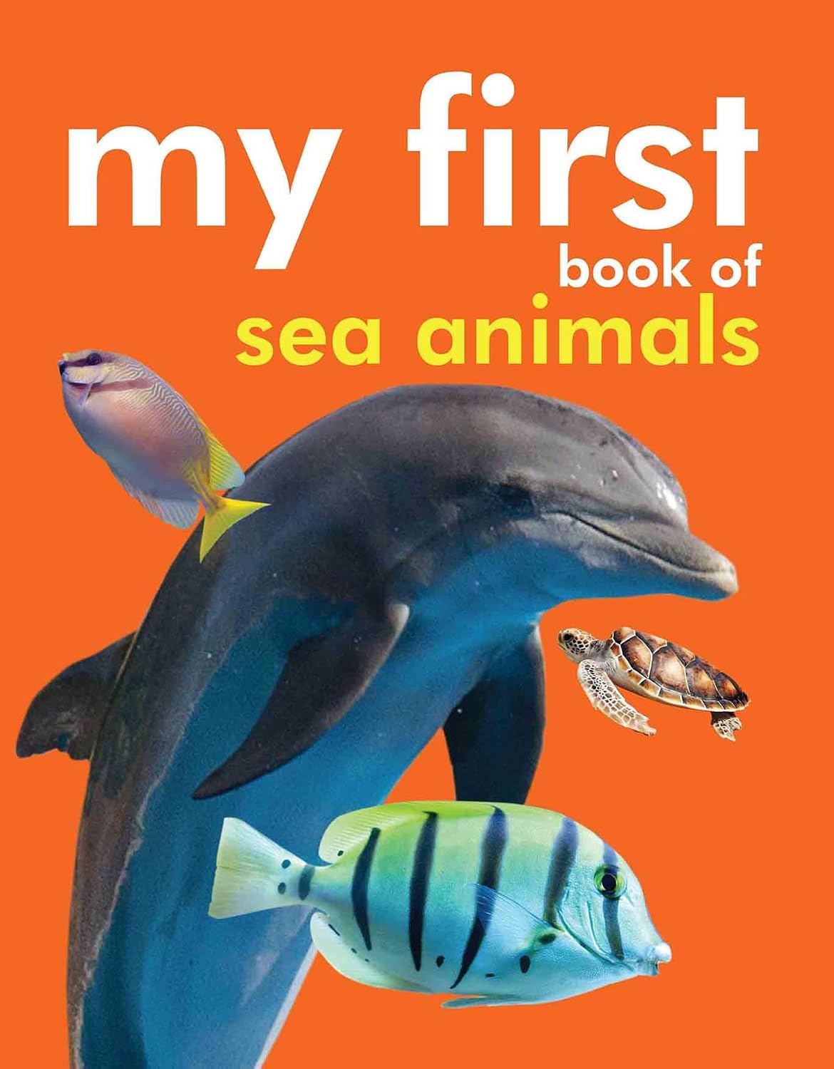 My First Book of Sea Animals for Children: Early Learning with Dolphins, Sharks, Whales & More | Colourful Marine Creatures with Names | Ocean Life & Fun Facts | Interactive Learning Through Pictures (Board book)