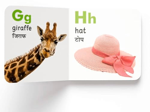 My First English Hindi Learning Library: Boxset of 10 Board Books For Kids (Hardcover)