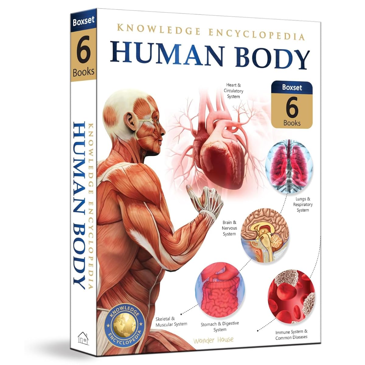 Human Body Box Set: Knowledge Encyclopedia For Children (Paperback)