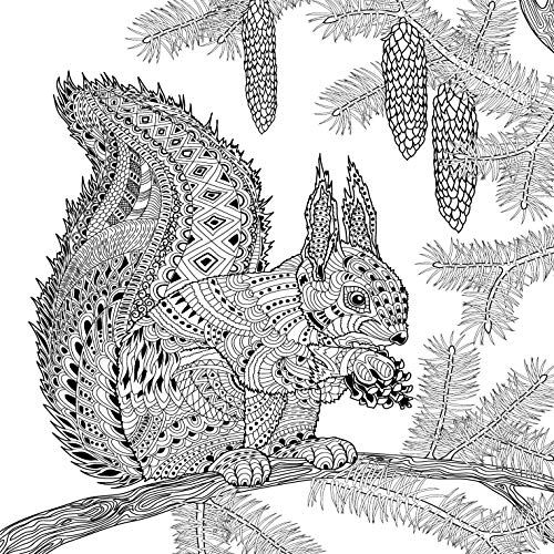 Mandala Colouring Book for Adults- Animal Kingdom (Hardcover)