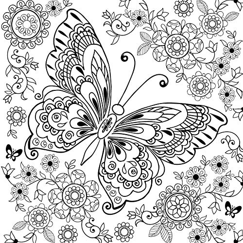 Mandala Colouring Book for Adults- Animal Kingdom (Hardcover)