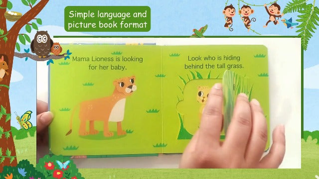 Board Book: Where's My Baby? Birds - Illustrated Story books for Kids (Board book)